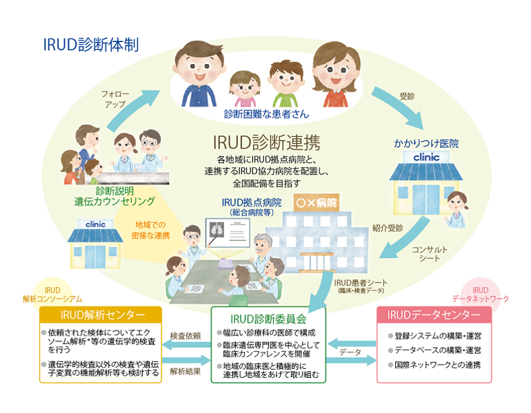 IRUD診断体制